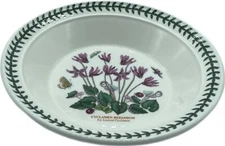 Portmeirion Botanic Garden Rim Soup Bowl Cyclamen Old Mark VTG