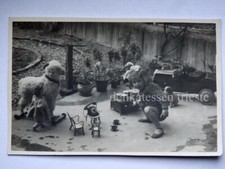 MACCHINA PEDALI GIOCATTOLO Pedal car toy Orso Steiff doll BAMBINO vecchia FOTO
