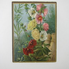 Victorian Greeting Card Flowers Red Pink White Hollyhocks Bee Dragonfly Antique