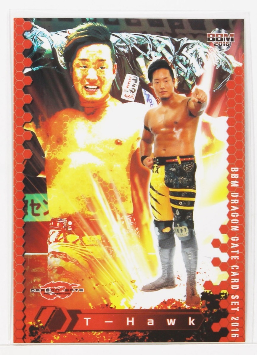 DRAGON GATE ウィンドブレーカー M T-Hawk - 2016 BBM Dragon Gate Pro-Wrestling Trading Card | eBay