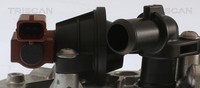 KüHler AbgasrüCkfüHrung Triscan 8813 10107 FüR Fiat Alfa Lancia Opel Corsa S07