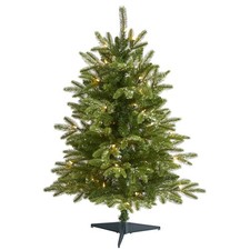 Nearly Natural 3ft. Snowed Grand Teton Fir Artificial Christmas Tree 50 Clear