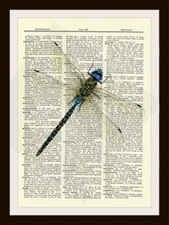 Dragonfly Dictionary Art Print Vintage Book Page Picture Poster
