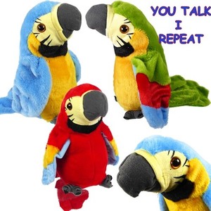 talk back parrot