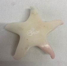 Decorazione a dispersione di stelle marine decorazioni