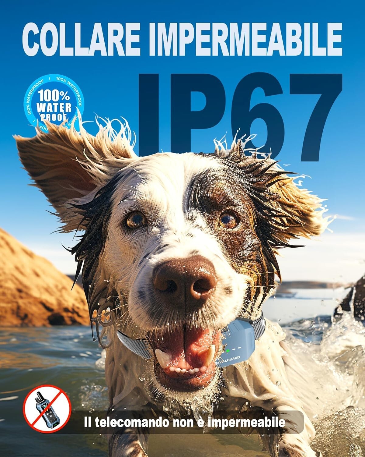 Foto 6 di 17