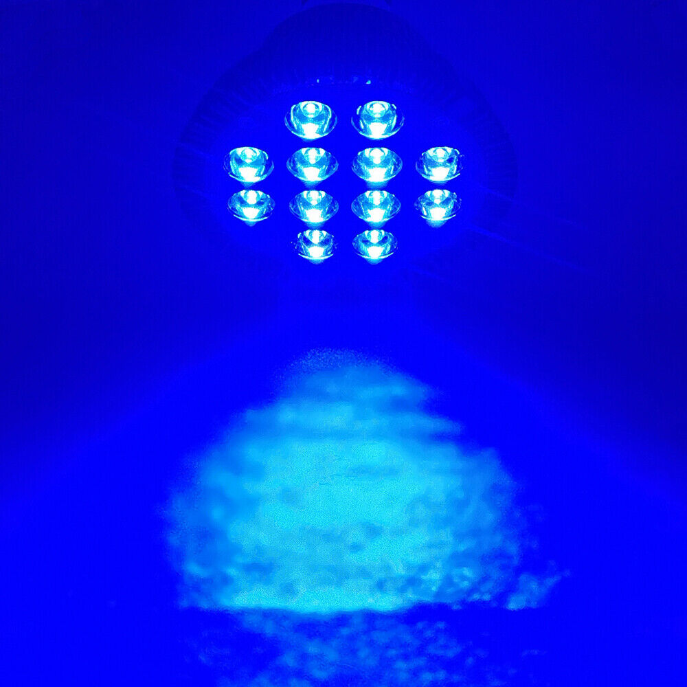 Picture 5 of 5