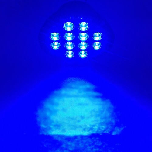 24W / 12W Ice Blue 470nm~475nm LED Lamp Spot Light Bulb PAR38 Aquarium Plant B - Picture 5 of 5