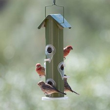 Bird Feeder Green Metal Tube Wild Bird Feeder - 1 lb. Capacity
