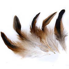 50 Pezzi Di Piume Di Gallo Di Gallo Per Decorazioni Per Cappelli E Copricapi Fai