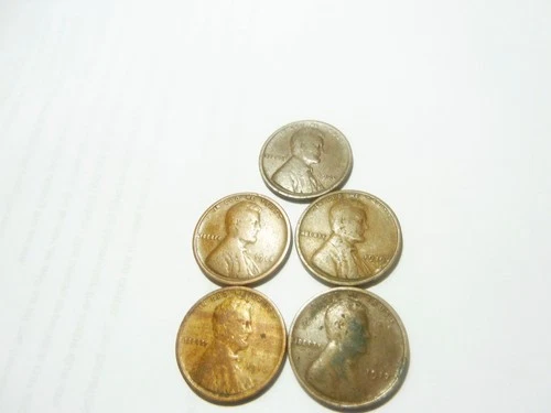 Wheat Penny Lot   1916-1917-1918-1919-1920