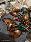70× Necklace BROWN SCORPION AMBER lucite tear Amber bead — photo 2