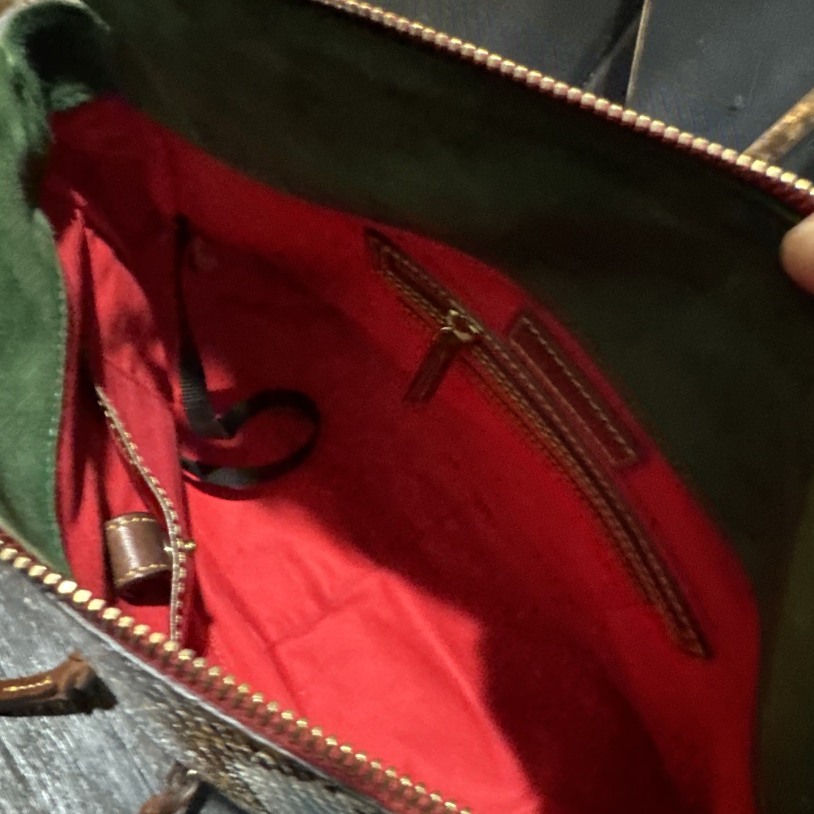 Dooney & Bourke Python Large Florentine Satchel T… - image 11