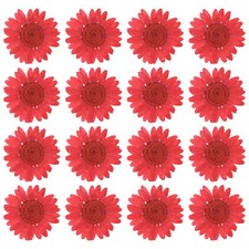 48 Pcs Dried Pressed Flower Natural Dried Daisy Flower,Deep red