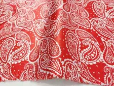 Scarf Scarve Oblong Neckerchief Wild Rag Western Bandana silky 15x41"