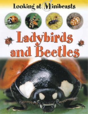 Ladybirds and Beetles (Looking at Minibeasts), Morgan, Sally, Used; Good  Book