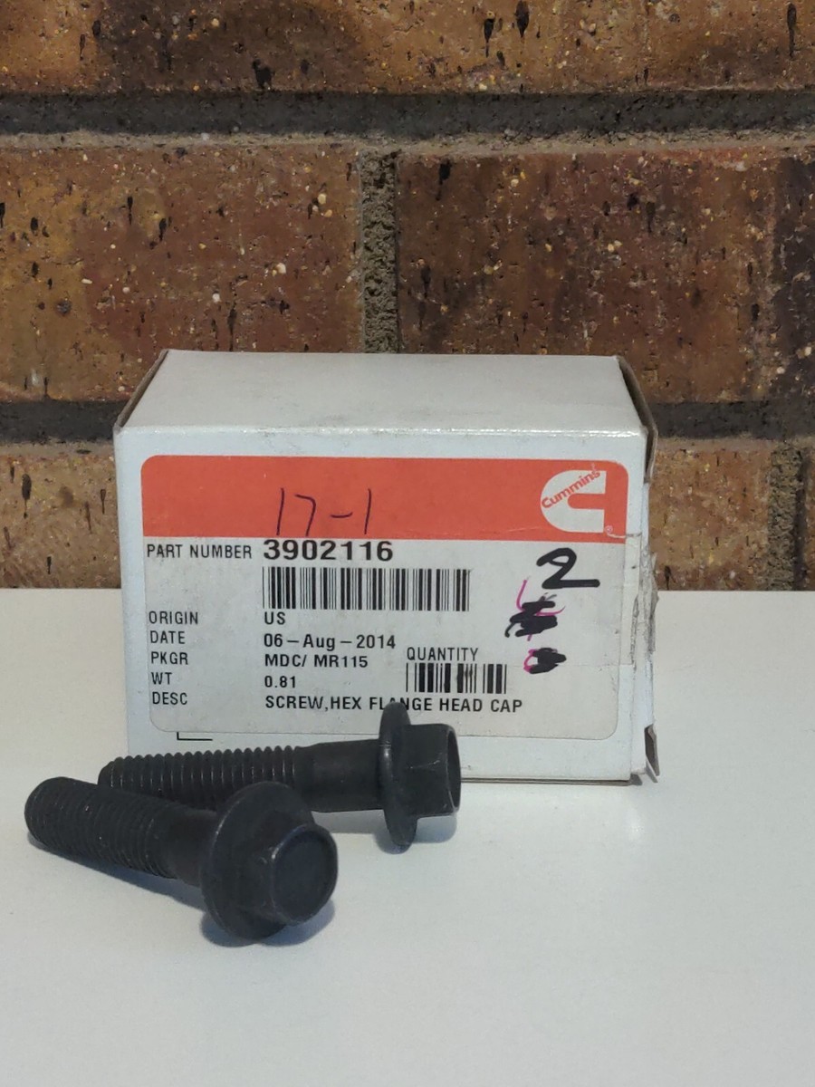 Cummins Flange Head Cap Screw 3902116, Qty 2 | eBay