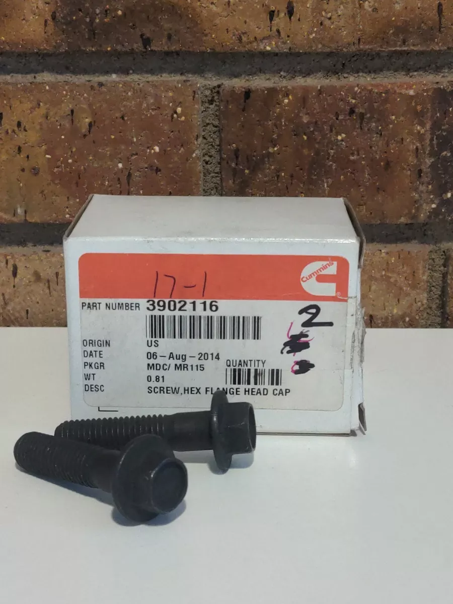 Cummins Flange Head Cap Screw 3902116, Qty 2 | eBay
