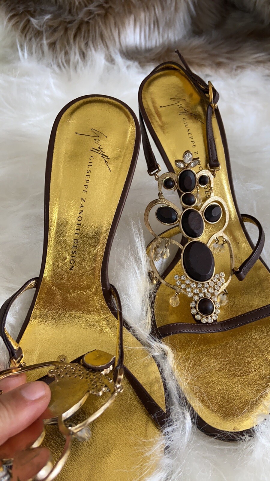 vicini giuseppe zanotti