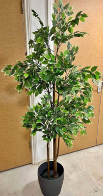 IKEA Fejka Weeping Fig Artificial Tall Large Plant Pot Faux 6ft Indoor Out  170cm | eBay