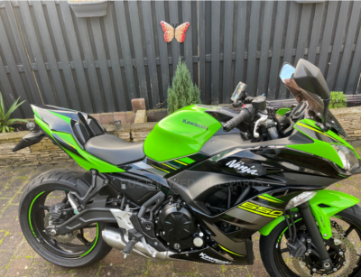 65 Kawasaki Z650 2017-2020 Black Green Motorcycle Rear Pillion