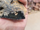 28 Lbs Lot Velvet (aka Peacock) Obsidian Rough Uncut From Mexico — photo 4