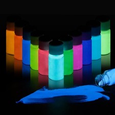 Glow in The Dark Powder 12 Colors Epoxy 0.7 Ounce Pack of 12 , 12 colors