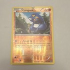 Croagunk 58/114 XY Steam Siege Reverse holo card with fiery orange background, blue Croagunk Pokémon, and attack text.