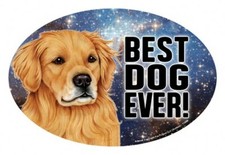 Golden Retriever BEST DOG EVER Oval 4x6 Fridge Car Magnet Large Size USA Made