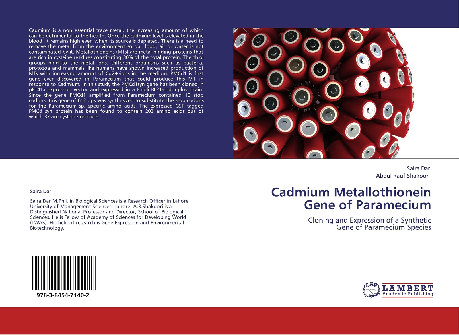 Thumbnail - Cadmium Metallothionein Gene Of Paramecium | Saira Dar (u. A.) |