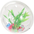  Transparent Hydroponic Vase Wall-mounted Fish Tank Decorative Wall Planter Home