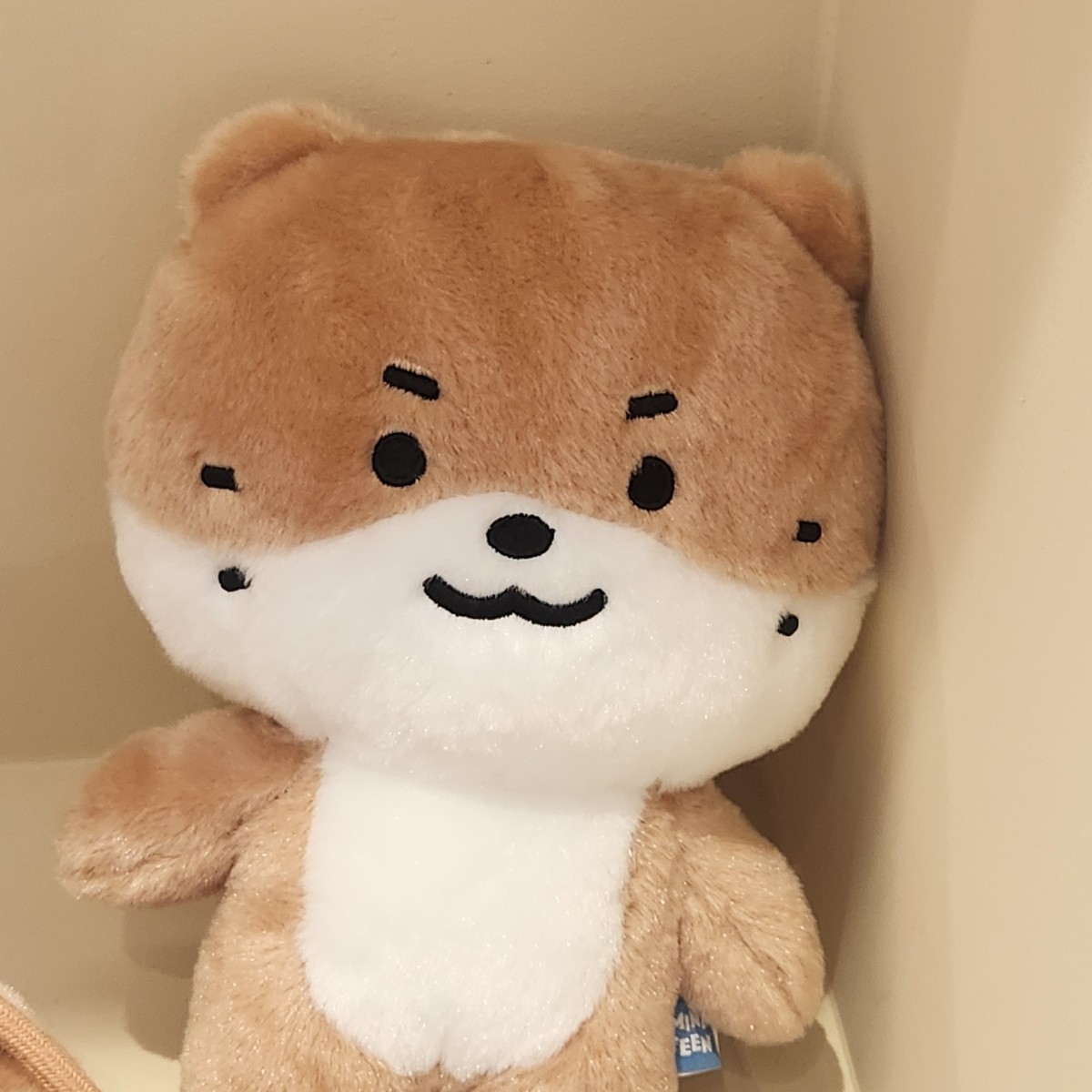 SEVENTEEN plush toy MINITEEN HOUSE PARTY SEVENTEEN Official