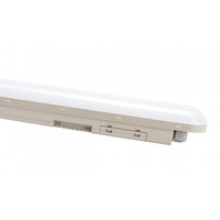 Led Feuchtraumleuchte Limea Connect 60Cm Grau IP65 25W 4000Lm Neutral 4000K 120°