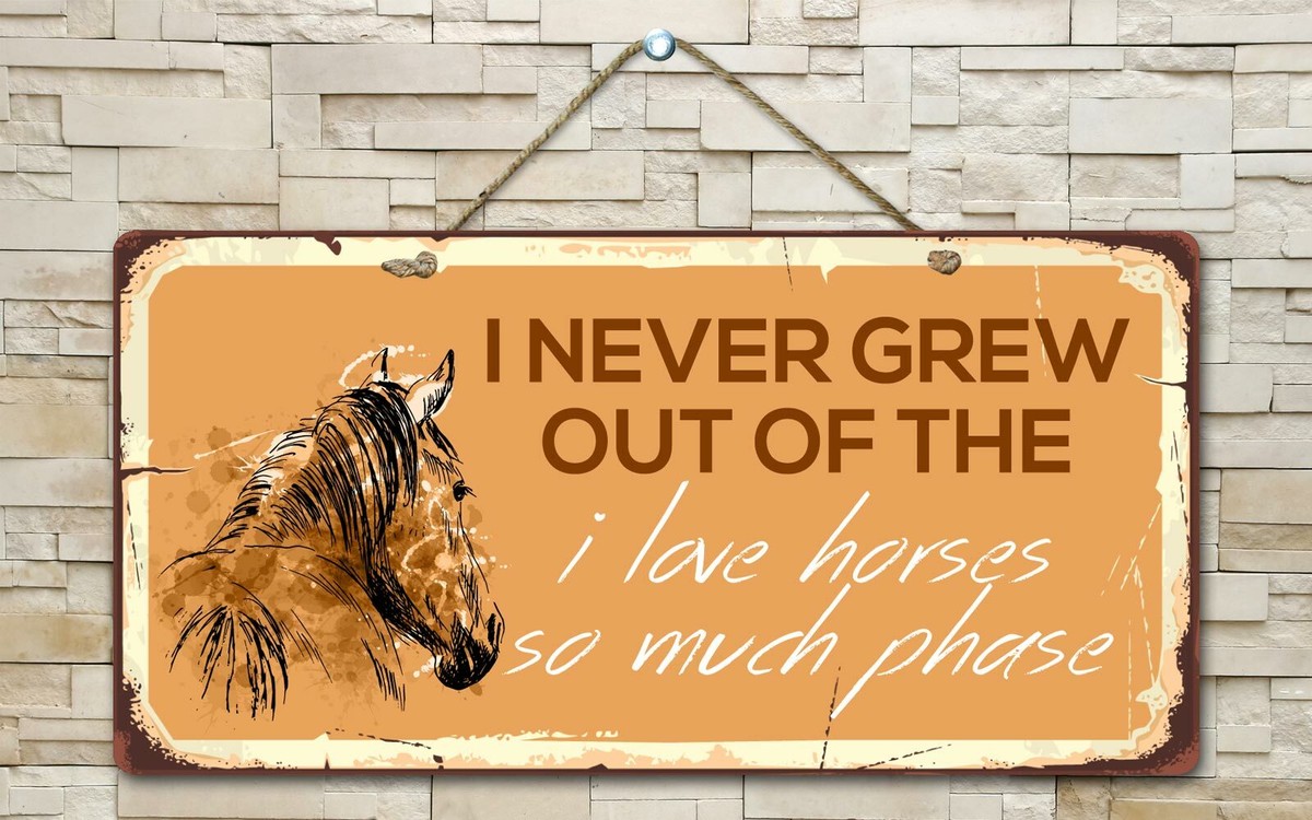 2065HS I Never Grew Out Of The I Love Horses So Much Phase 5