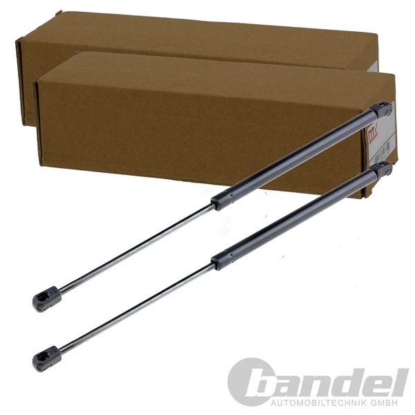 2X NTY Gasfedern KOFFERRAUM-LIFTER Passend FüR Honda Civic | AE-HD-003-image