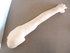 Nasco Life/Form IV Injection Training Arm