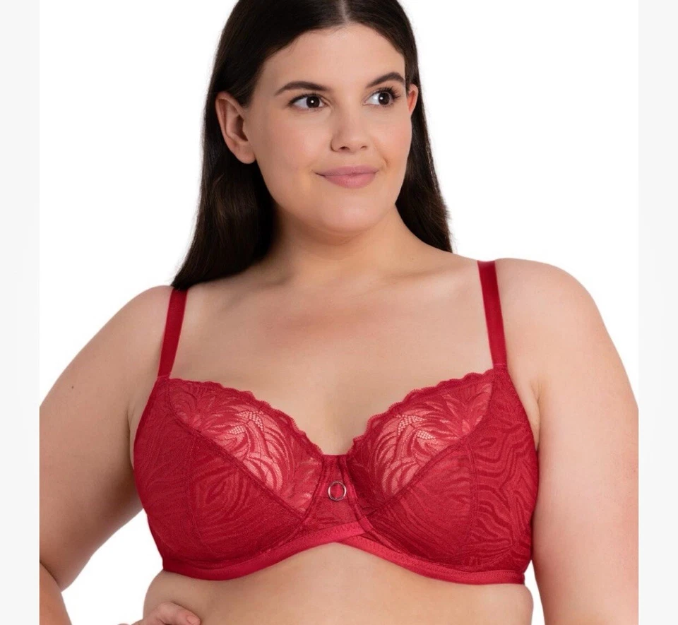 Curvy Kate POPPY 红色 Victory 侧支撑多部分杯文胸 尺寸 38DD 蕾丝 — 第 4/4 张图片