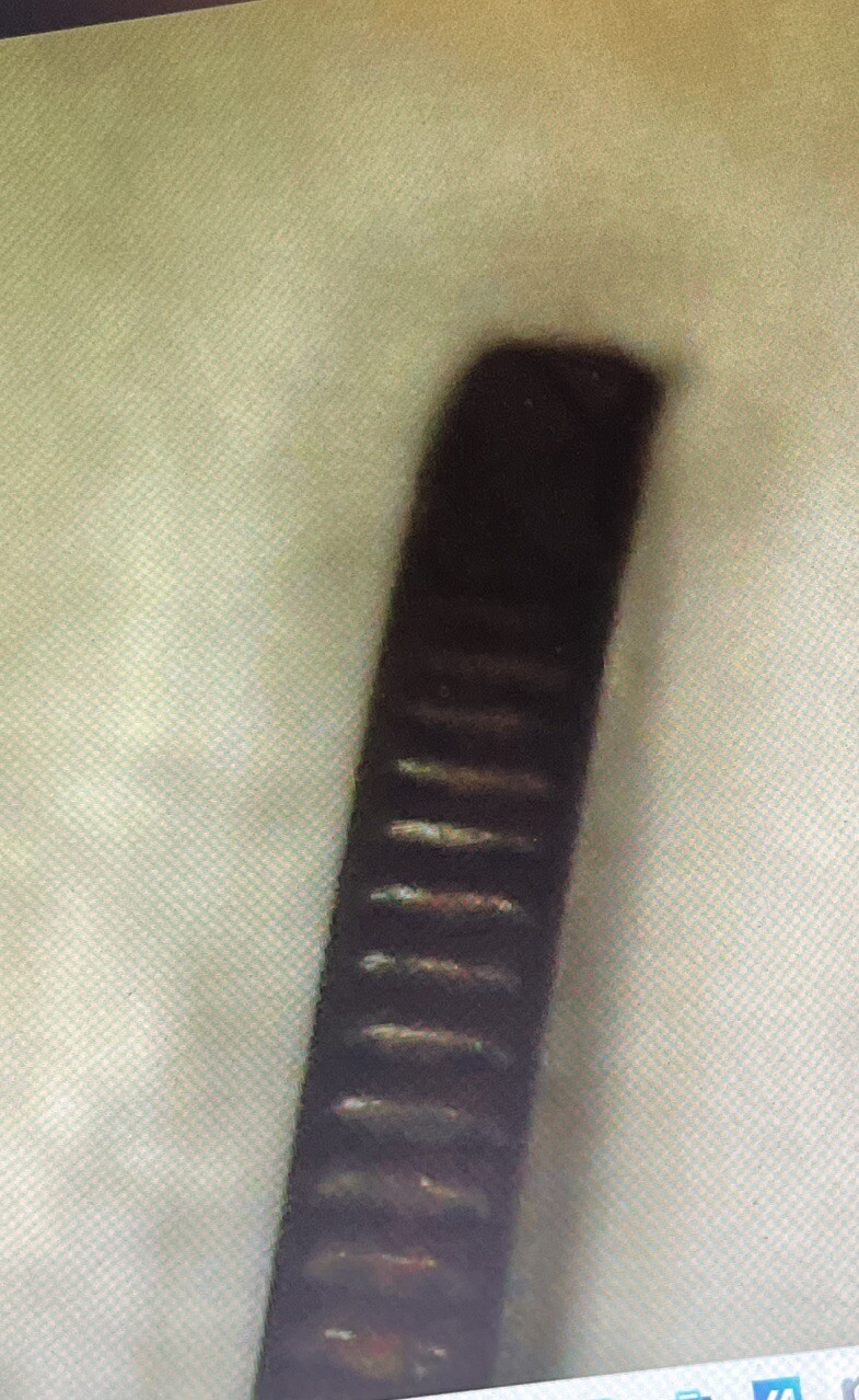 Picture 11 of 11