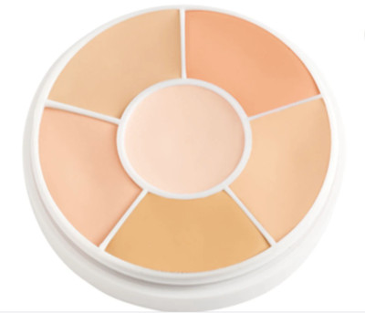 Ben Nye Media PRO HD Total Cover All Concealer Makeup Wheel SK-100
