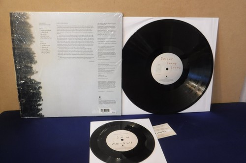 Sam Amidon, Bright Sunny South, 2013 Nonesuch 536376-1 +Bonus 7" 45 Folk - Picture 2 of 5
