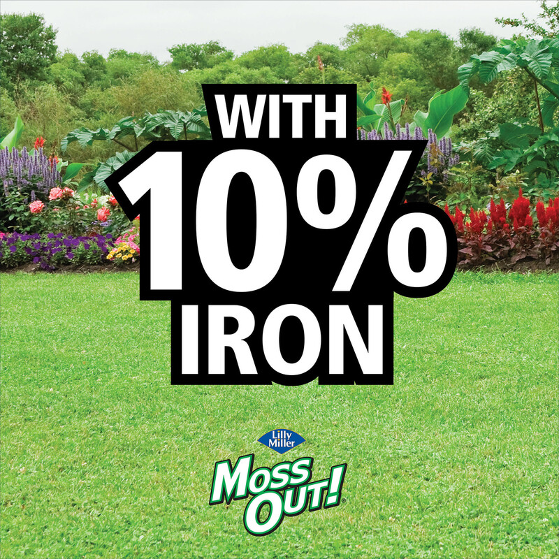 Lilly Miller Moss Out Moss Control Granules 20 lb. Pack of 1 eBay