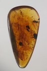 Foto 4 di 6