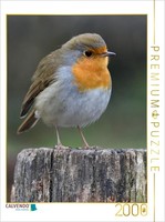 Calvendo Puzzle Rotkehlchen 2000 Teile Puzzle Hoch | 2000 Teile Lege-GrößE 90X67