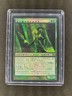 MTG Gilt-Leaf Archdruid Morningtide Japanese Near Mint Foil