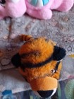 Bild 13 von 15