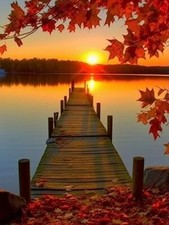 DIY 5D Diamond Painting Kits for Adults Sunset Autumn Bridge - Diamond Art