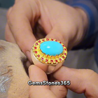 Video 1 von 1