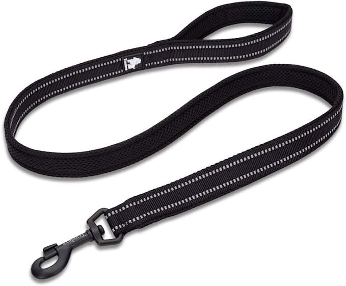 FREE SHIPPING TRUE LOVE Reflective Dog Leash eBay