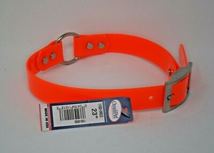 orange dog collar with nameplate