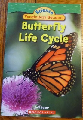 Butterfly Life Cycle - Paperback By Jeff Bauer - ACCEPTABLE